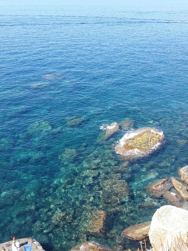 La Casa del Gallerista image 4